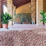 Tenuta Pian D'attesio - * Castelletto Soprano