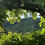 Tenuta Pian D'attesio - Farma