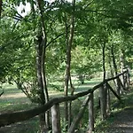 Tenuta Pian D'attesio - *