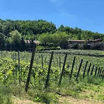 Tenuta Pian D'attesio - *