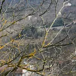 Tenuta Pian D'attesio - *