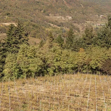 Farm stay Tenuta Pian D'attesio - *