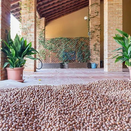 Tenuta Pian D'attesio - * Castelletto Soprano