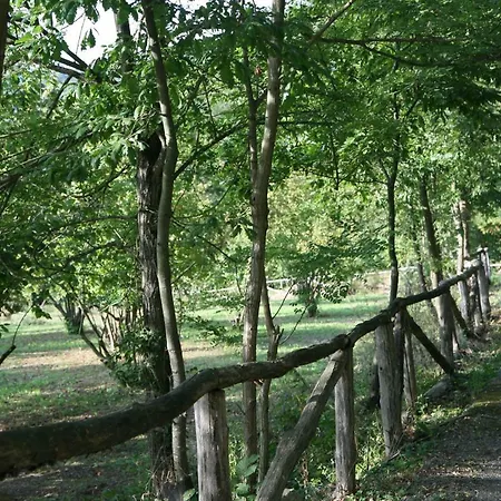 Tenuta Pian D'attesio - *