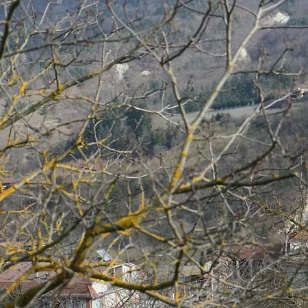 Tenuta Pian D'attesio - *