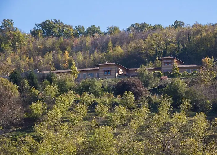 Tenuta Pian D'attesio - *