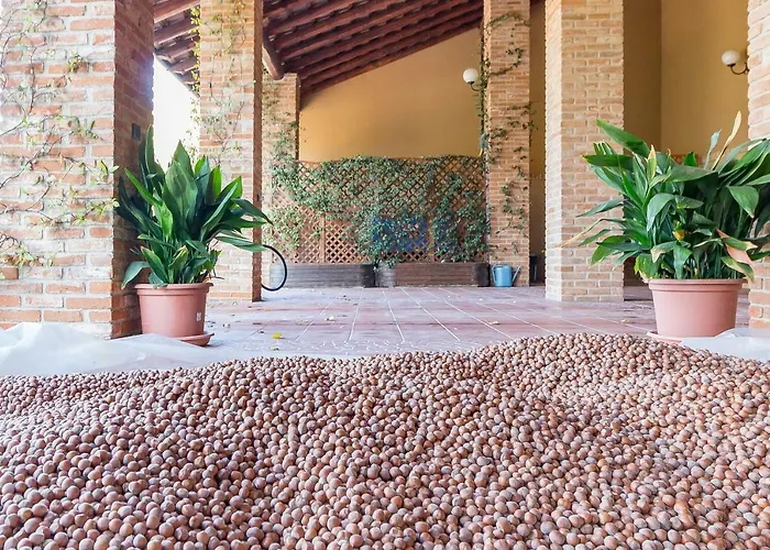 Tenuta Pian D'attesio - * Castelletto Soprano