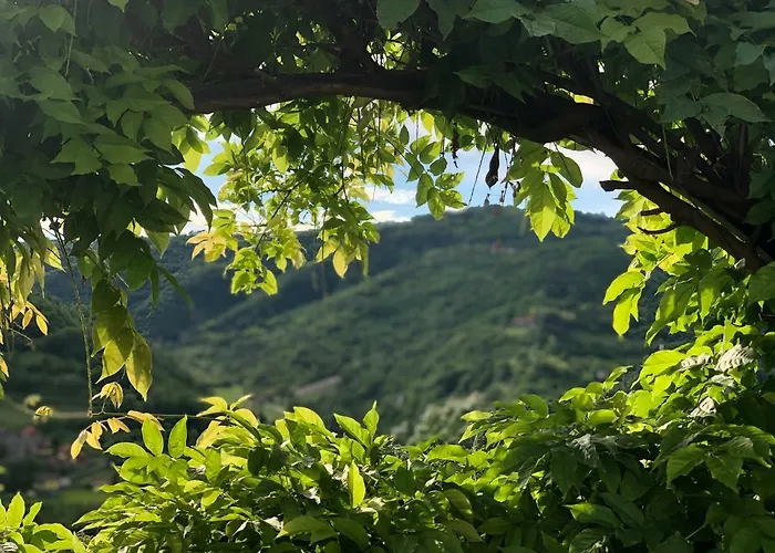 Tenuta Pian D'attesio - مزرعة للإقامة