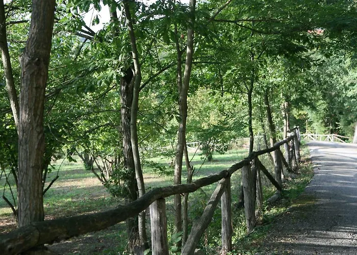 Tenuta Pian D'attesio - *