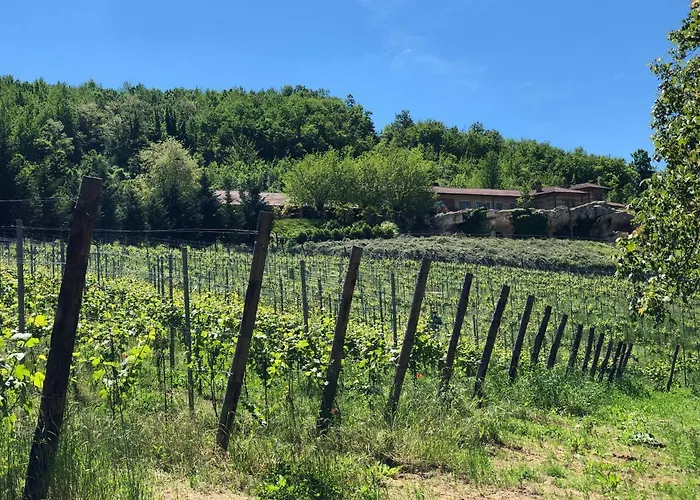 Tenuta Pian D'attesio - *