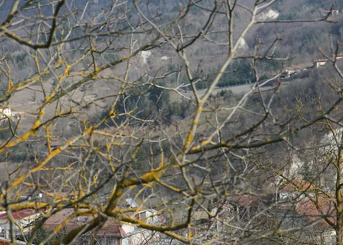 Tenuta Pian D'attesio - *